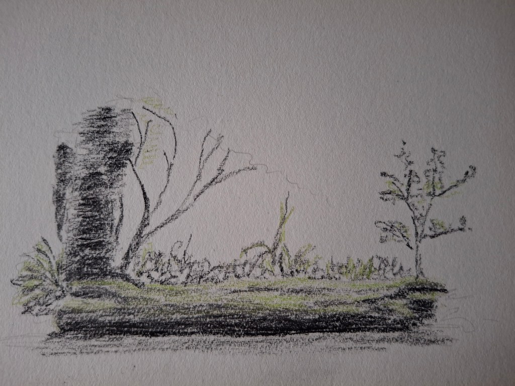 Outdoor sketch in the&nbsp;woods