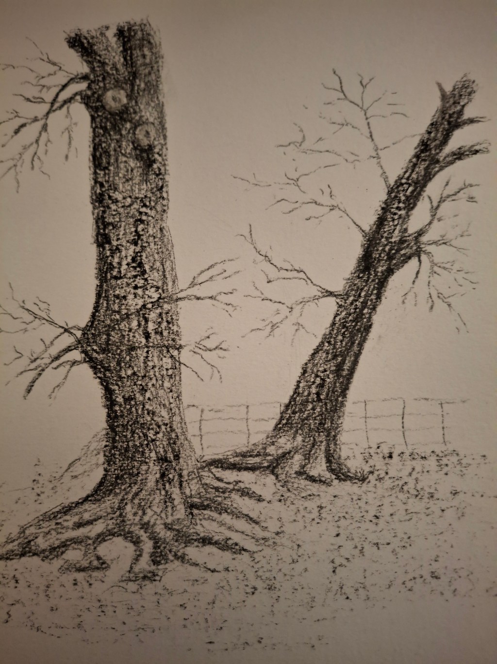 Charcoal trees