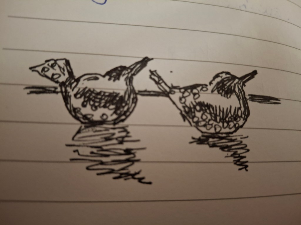 Lots of bird art