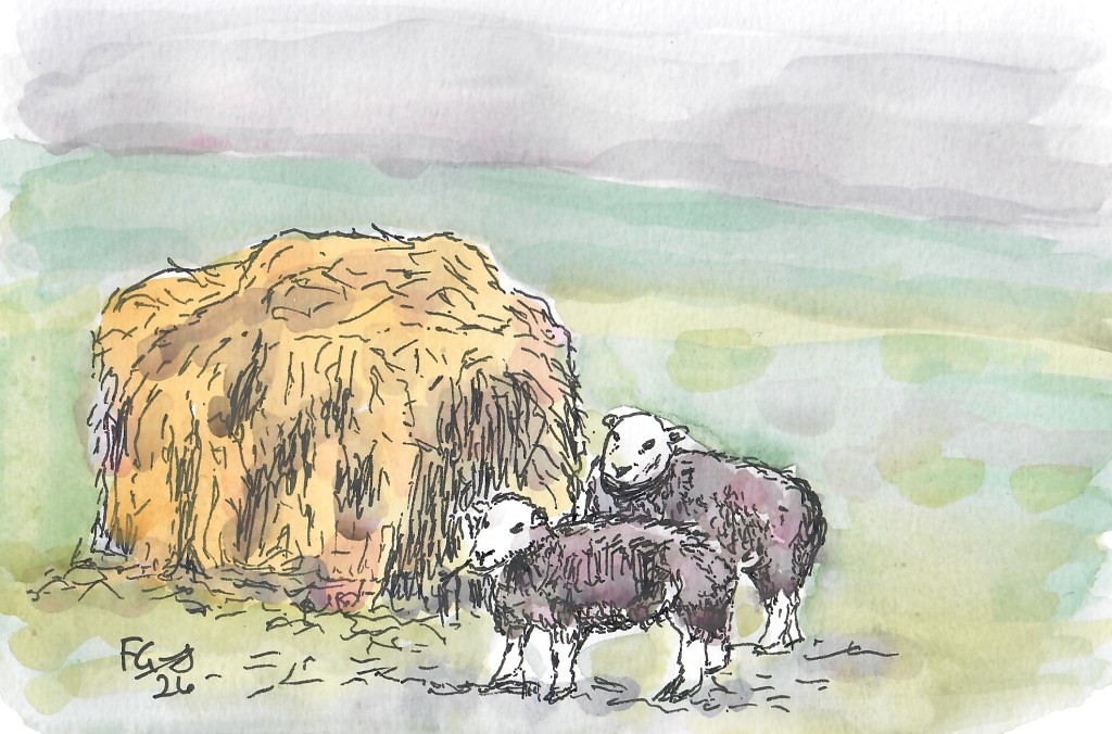 Herdies say “hey”